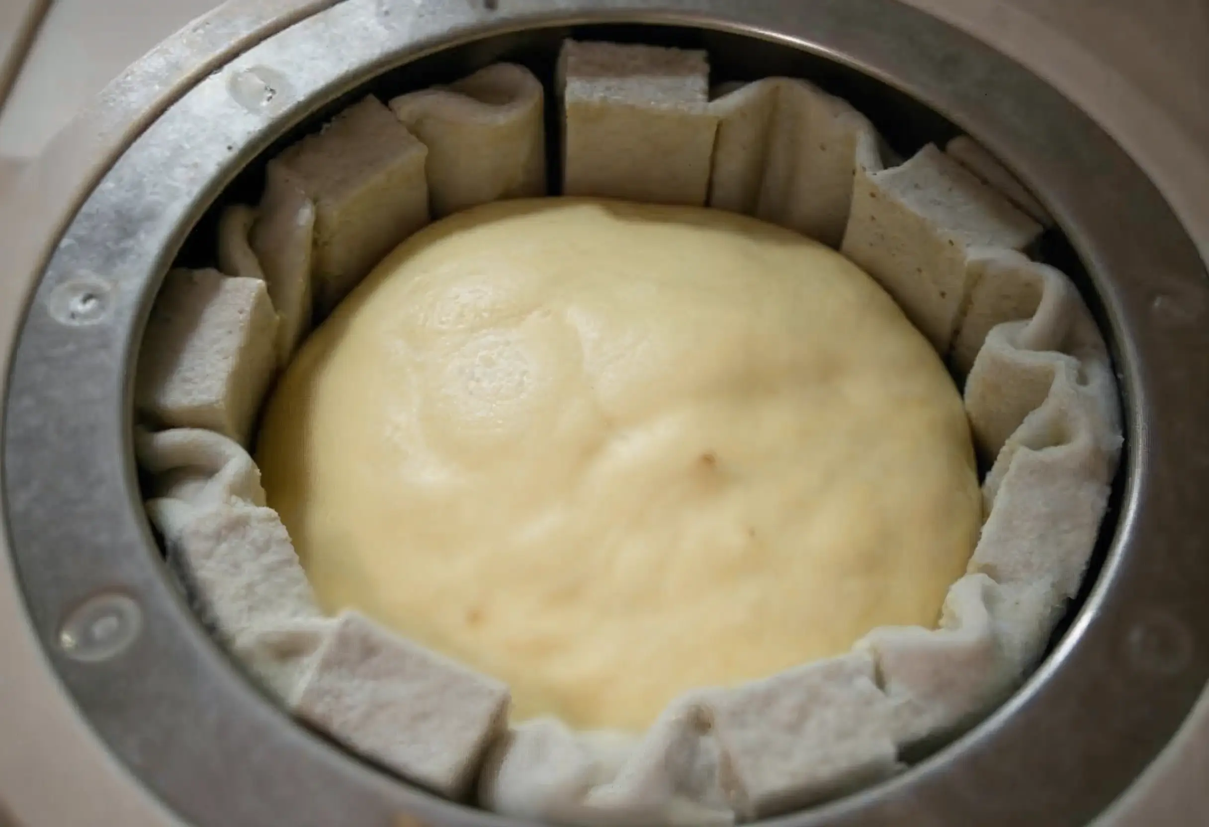 Wholemeal bread dough kneading in a bread machine.